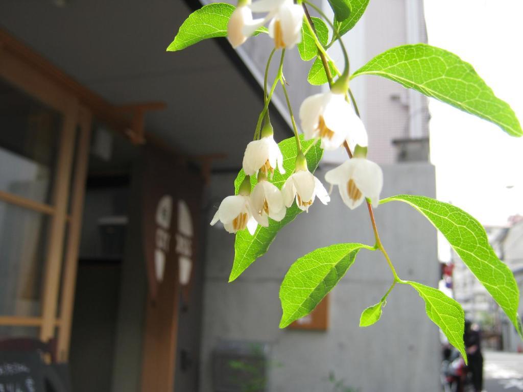 Guesthouse Hyakumanben Cross Kyoto Dış mekan fotoğraf
